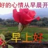 永恒的未来o的头像