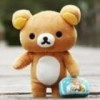 翱翔a0