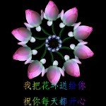 为爱停liu