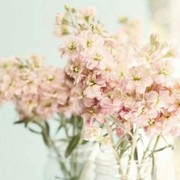 微信_2513518海报
