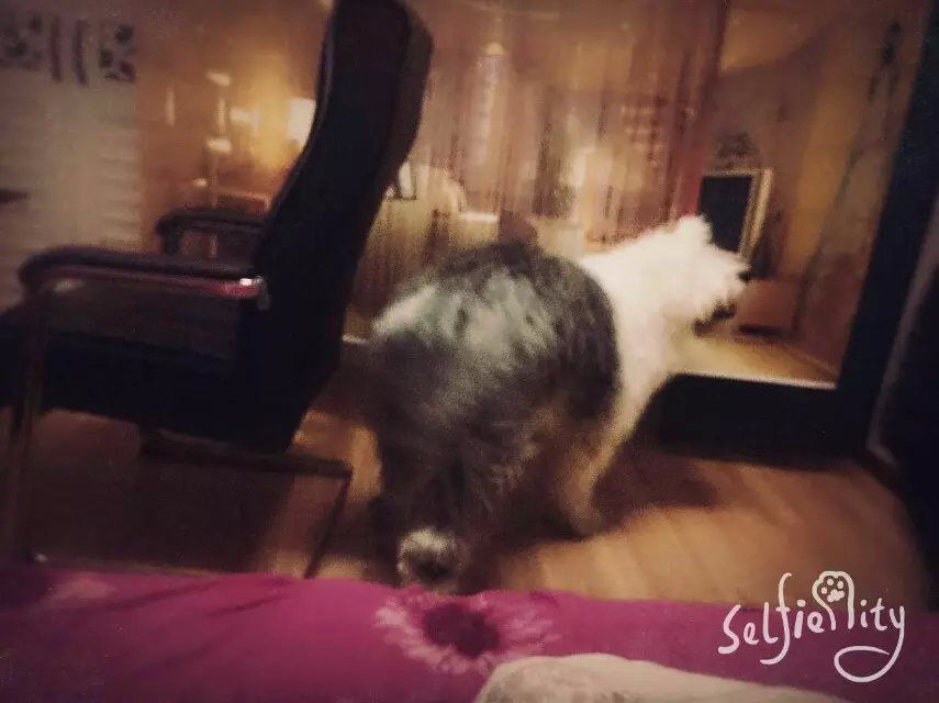 吉他雨猫主播照片