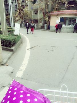 清歌曼舞♭♪★☆瑜儿主播照片