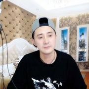 皮特驴