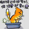 总有刁民想害朕h0海报