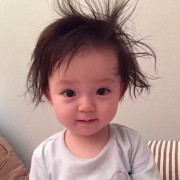 气死人不偿命的喵