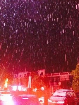 🌸傲雪寒梅🌸️主播照片