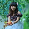 骑蚂蚁追飞机h