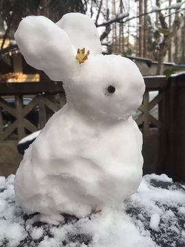 ✿灬小小小小小茉莉主播照片