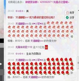 云南十日游主播照片
