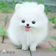 微信_3131220海报