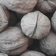 朵儿爱你一生一世