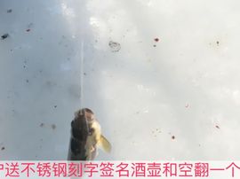 泓一户外主播照片