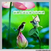 微信_3270774