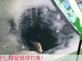 泓一户外主播照片