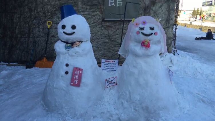 習慣有妮的图片