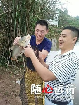 0左左右右0主播照片