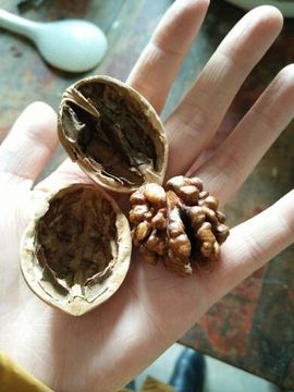 昵称违规，请重新修改主播照片