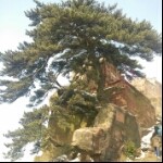 y勇往直前