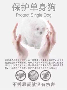 墨遥🎤不回来啦主播照片