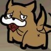 反犬1
