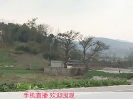 😱……主播照片