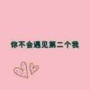 纵使位极人臣终非九五