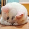 戒.心