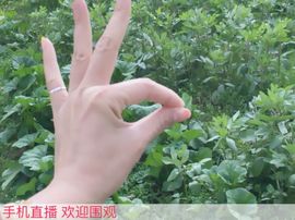 😱……主播照片