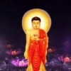 退后9