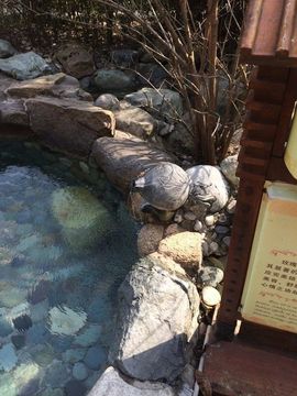 伊人红妆……回来了主播照片
