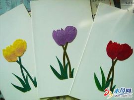 蓝色石头1主播照片