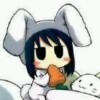 旧lr