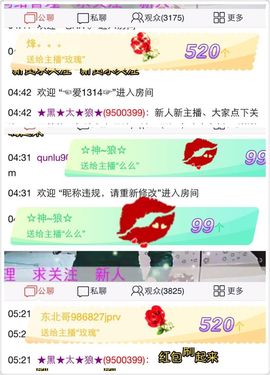 DJ小灰机🎀主播照片