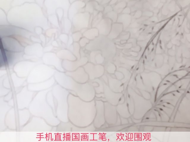 郑安宁主播照片