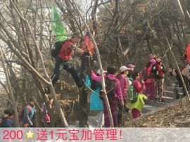 泓一户外主播照片