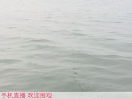 浩瀚匆匆主播照片