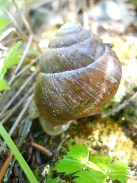 深溪沟大峡谷主播照片