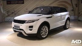 天悦限量版妞妞哥哥主播照片