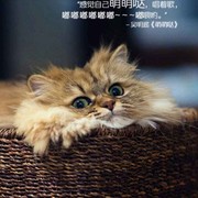 微信_8203524海报