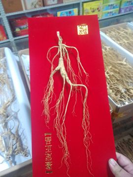 过往皆是浮云主播照片
