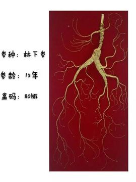 过往皆是浮云主播照片