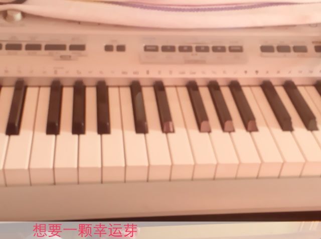 可爱女人♬的主播照片