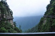 云和凤