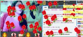 风飞🌸花落主播照片