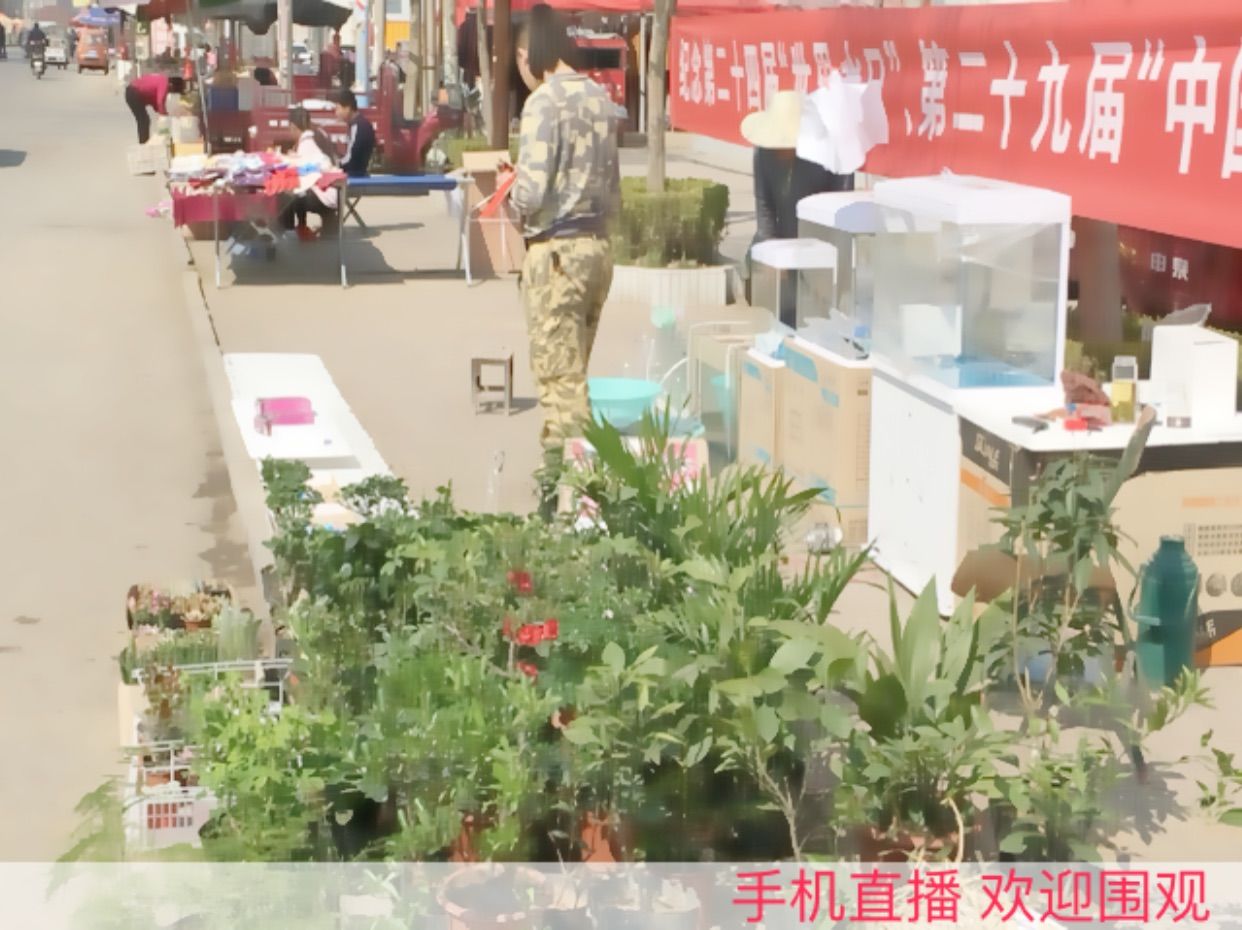 小龙恩@简简单单主播照片