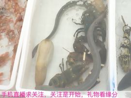 😱……主播照片