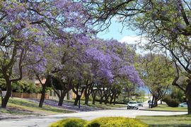 济南-PERTH主播照片