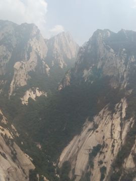 神游使者主播照片