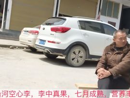 贵州沙子空心李主播照片