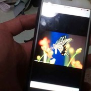微信_8933062